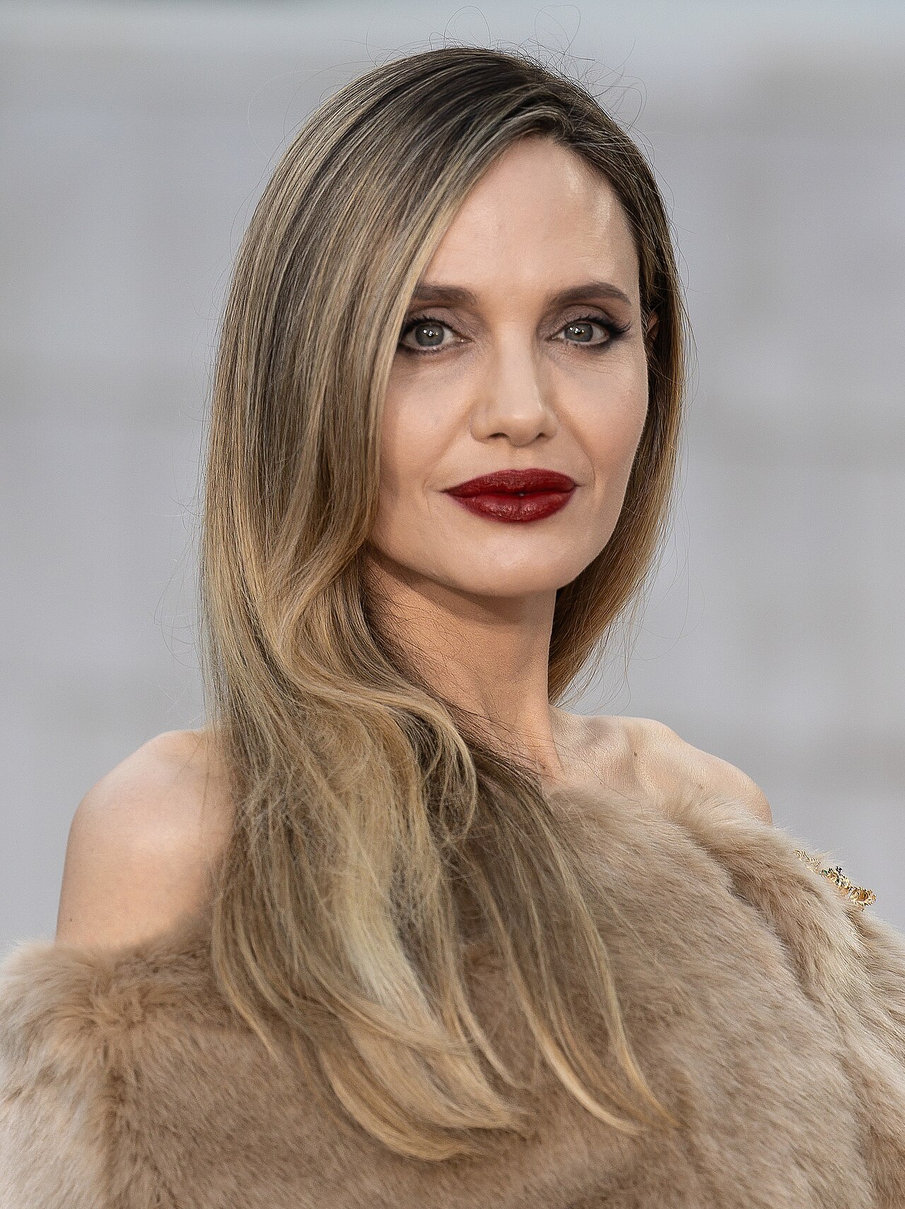 Angelina Jolie em foto de acervo livre