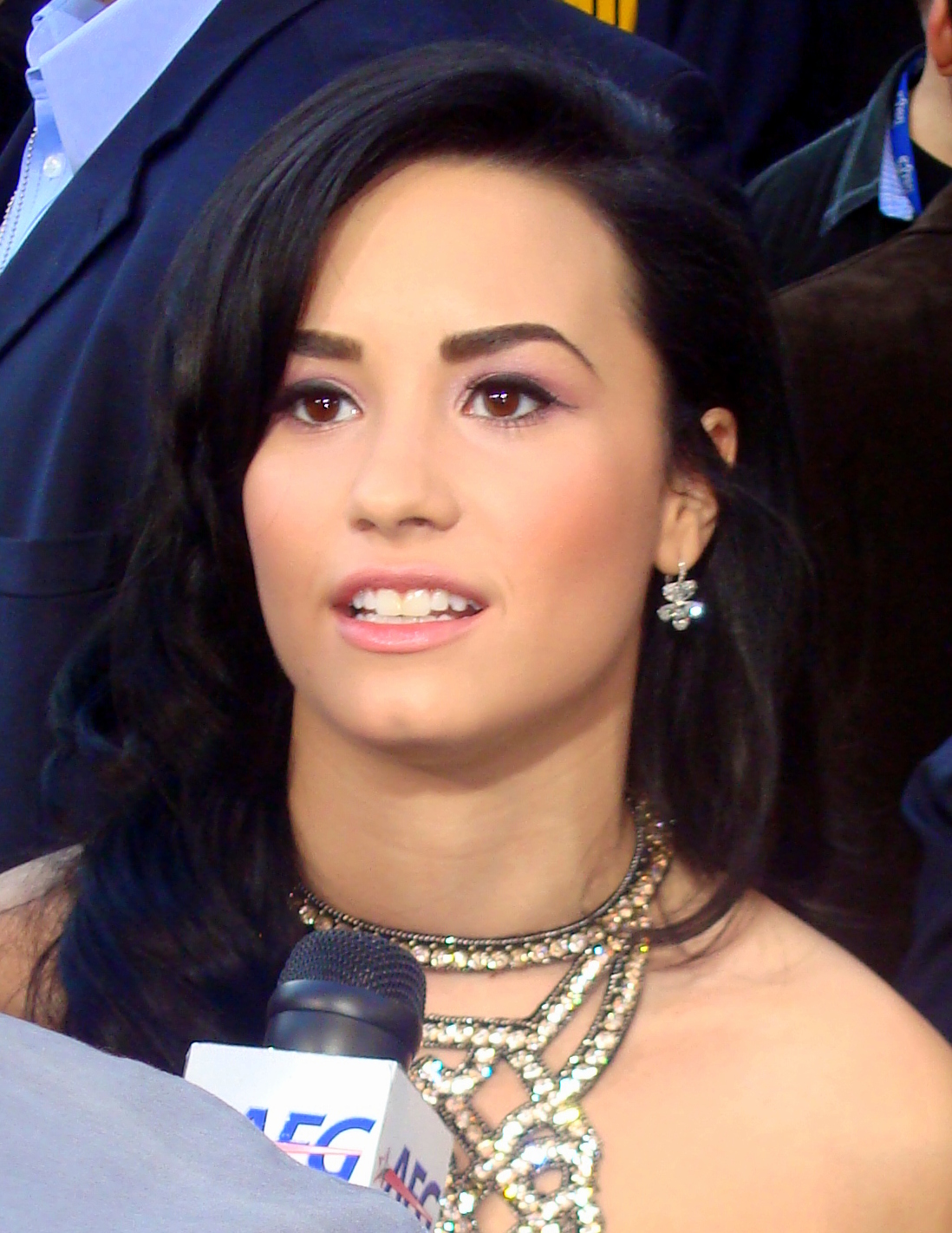 Demi Lovato em foto de acervo livre