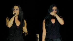 Demi Lovato emociona celebridades e fãs em SP