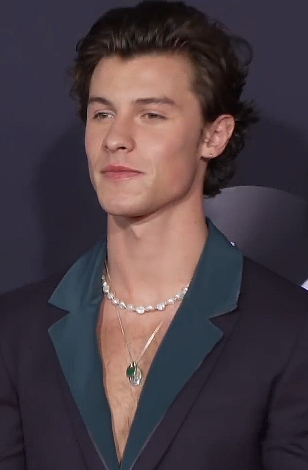 Shawn Mendes em foto de acervo livre