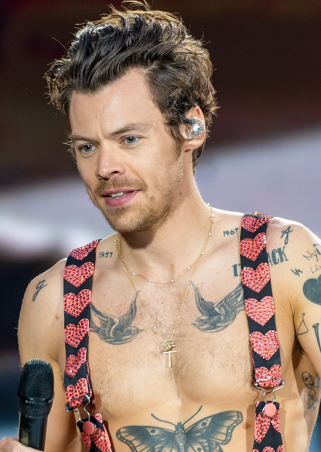 Harry Styles em foto de acervo livre