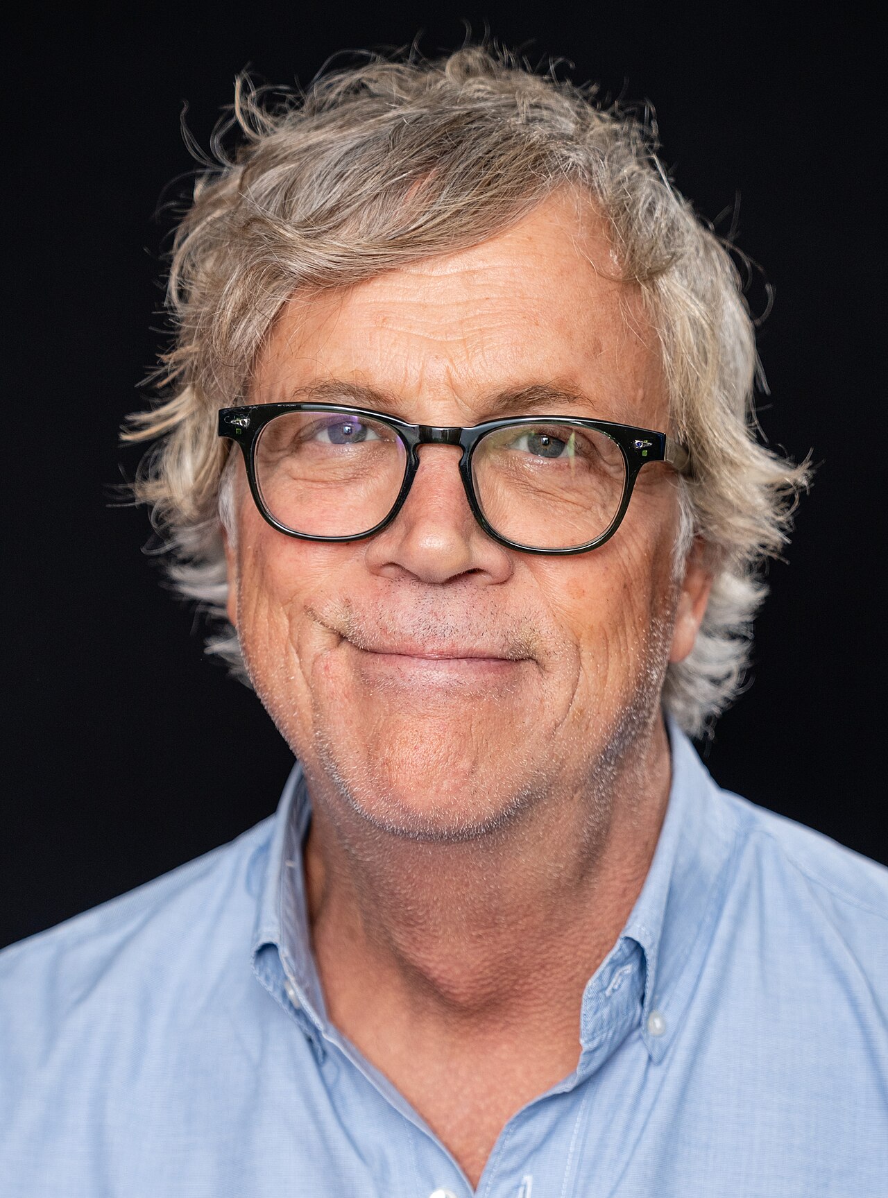 Todd Haynes em foto de acervo livre